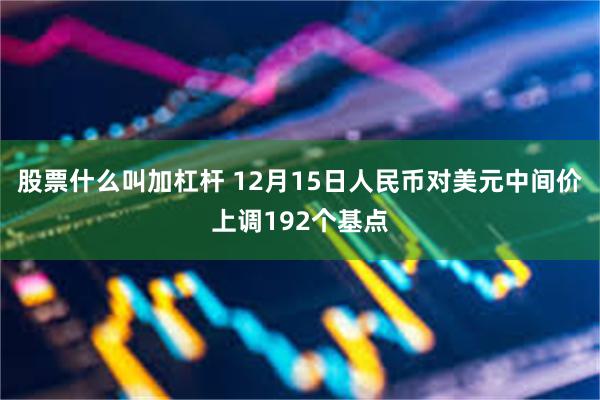 股票什么叫加杠杆 12月15日人民币对美元中间价上调192个基点