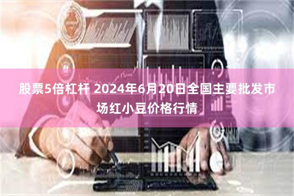 股票5倍杠杆 2024年6月20日全国主要批发市场红小豆价格行情