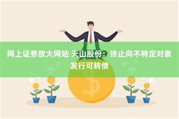 网上证劵放大网站 天山股份：终止向不特定对象发行可转债