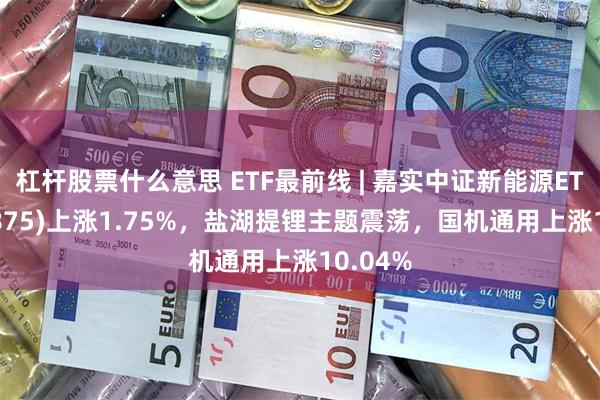 杠杆股票什么意思 ETF最前线 | 嘉实中证新能源ETF(159875)上涨1.75%，盐湖提锂主题震荡，国机通用上涨10.04%