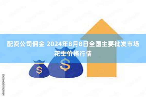 配资公司佣金 2024年8月8日全国主要批发市场花生价格行情