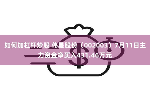 如何加杠杆炒股 伟星股份（002003）7月11日主力资金净买入431.46万元