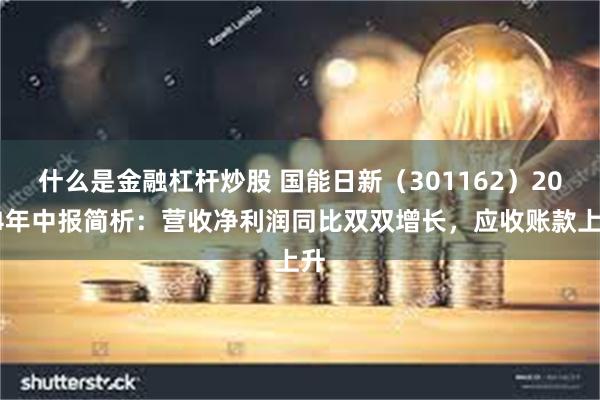 什么是金融杠杆炒股 国能日新（301162）2024年中报简析：营收净利润同比双双增长，应收账款上升