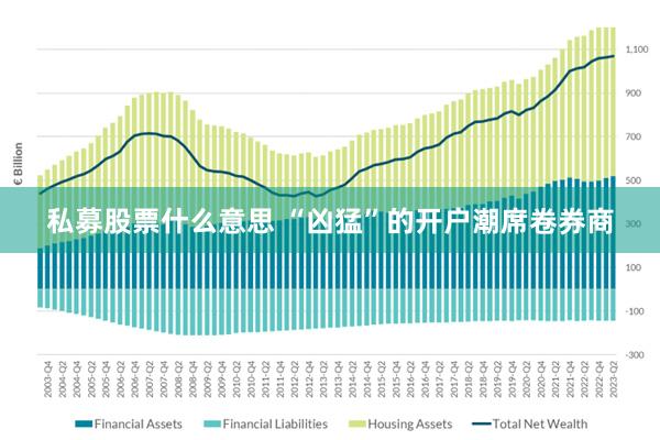 私募股票什么意思 “凶猛”的开户潮席卷券商