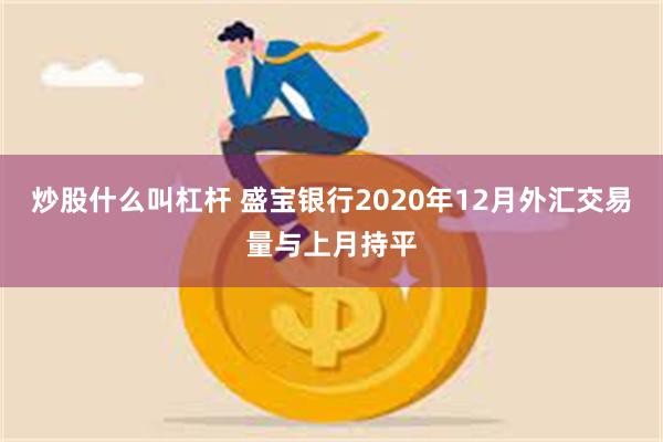 炒股什么叫杠杆 盛宝银行2020年12月外汇交易量与上月持平