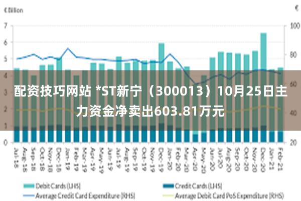 配资技巧网站 *ST新宁（300013）10月25日主力资金净卖出603.81万元