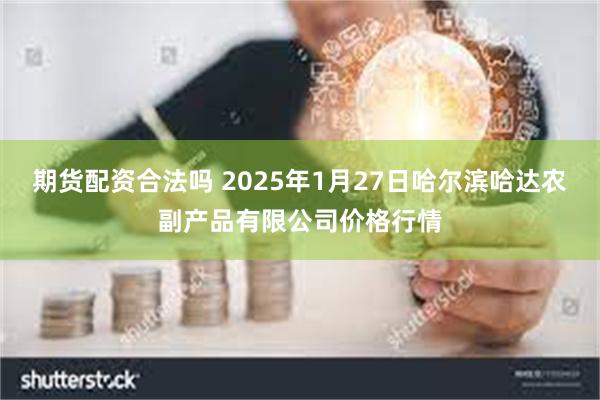 期货配资合法吗 2025年1月27日哈尔滨哈达农副产品有限公司价格行情