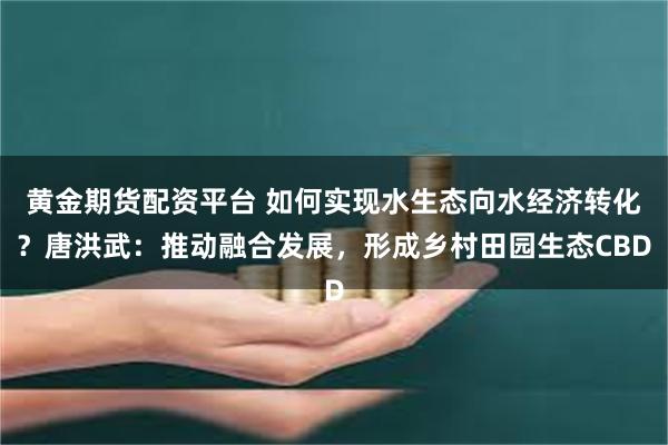 黄金期货配资平台 如何实现水生态向水经济转化？唐洪武：推动融合发展，形成乡村田园生态CBD